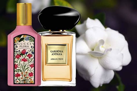 perfume that smells like gardenia|perfumes with gardenia fragrance.